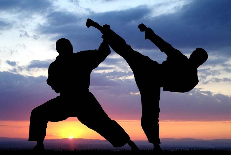 Боевые искусства - какие виды боевых искусств существуют и каким боевым искусствам лучше тренироваться?