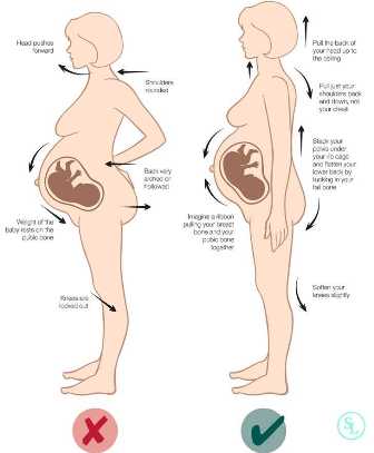 Какие изменения ждут ваше тело во время беременности