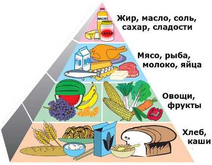 О важности здорового питания для развития детей