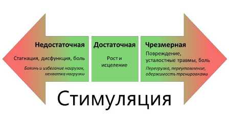 Сила естественных родов: во что верят и почему они становятся все популярнее