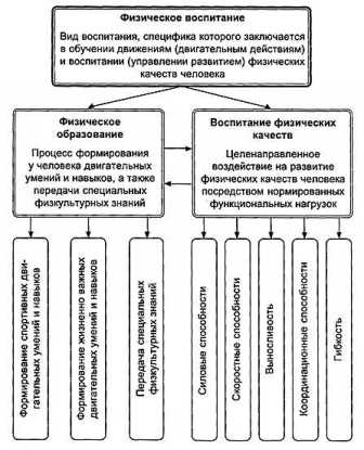 Спорт и физическое развитие детей — важные аспекты воспитания