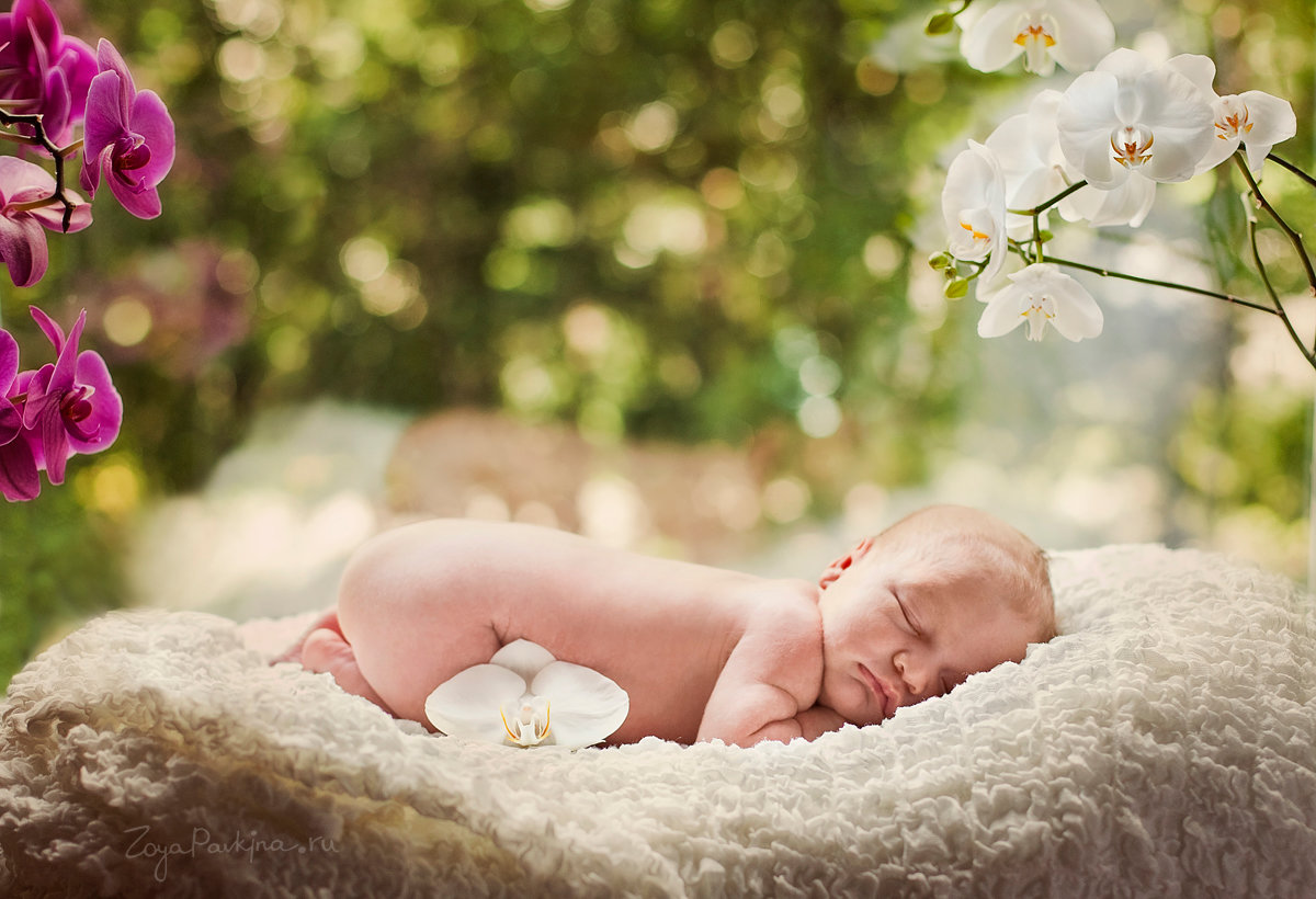 Секреты успешной младенческой фотосессии