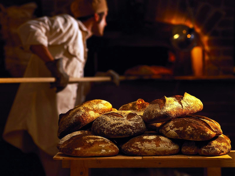 Выбираем хлебопечку. Как правильно выбрать хлебопечку?