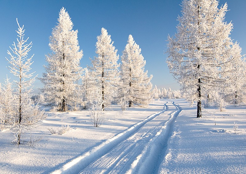 Зима 2013 будет одной из самых морозных за последние 50 лет