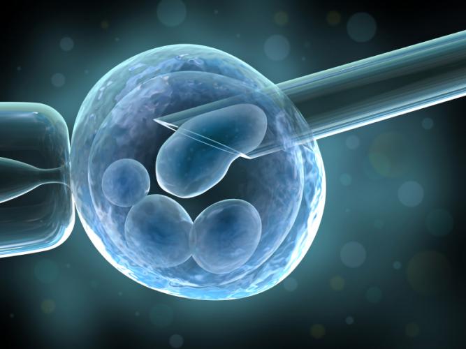 Лечение мужского и женского бесплодия методами вспомогательных репродуктивных технологий