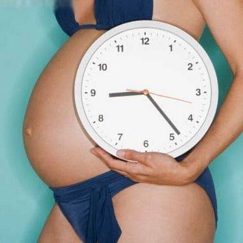 Календарь беременности по месяцам